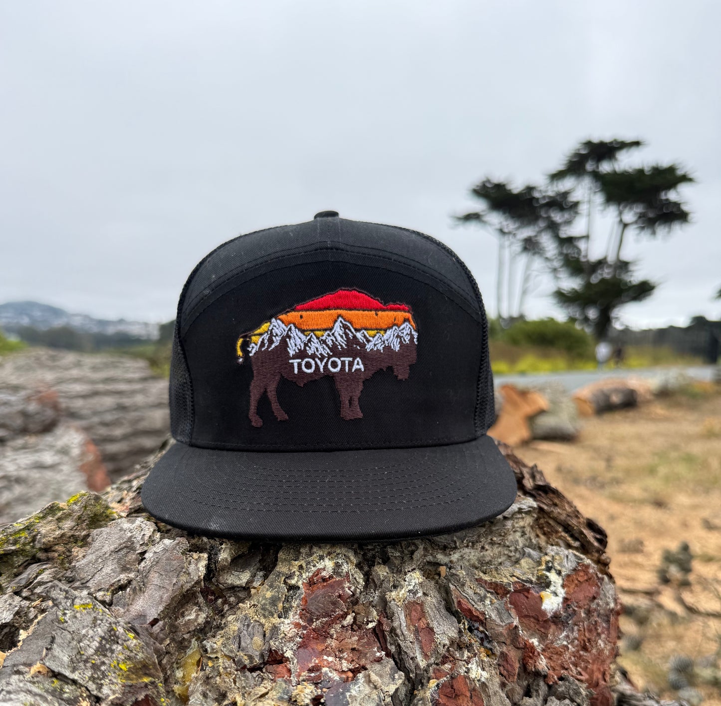 Retro Bison Hat